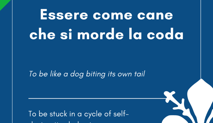 Italian Idiom of the Day! – Essere come cane che si morde la coda