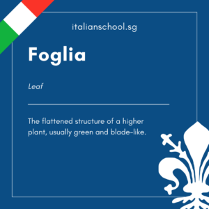 Italian Word of the Day! – Foglia