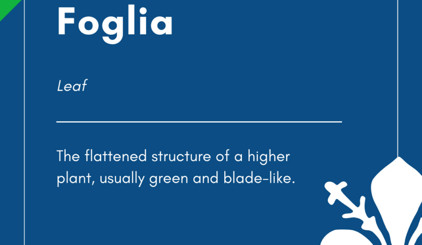 Italian Word of the Day! – Foglia