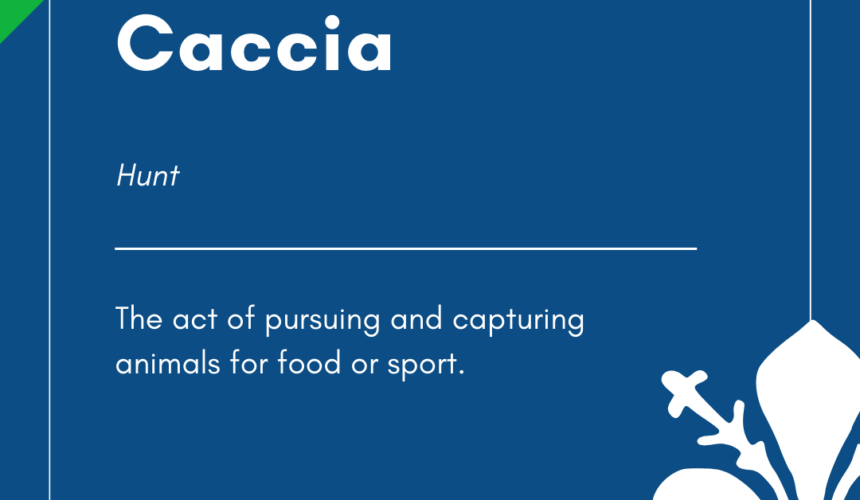 Italian Word of the Day! – Caccia