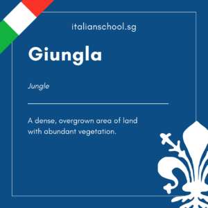 Italian Word of the Day! – Giungla
