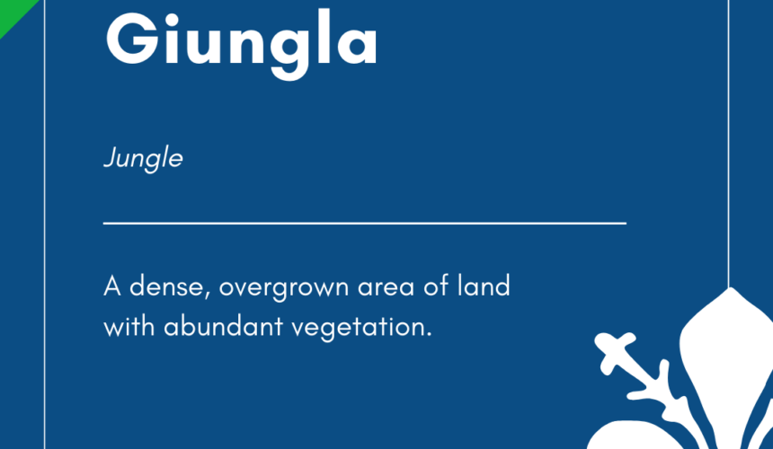 Italian Word of the Day! – Giungla