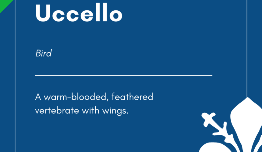 Italian Word of the Day! – Uccello