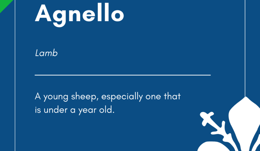 Italian Word of the Day! – Agnello