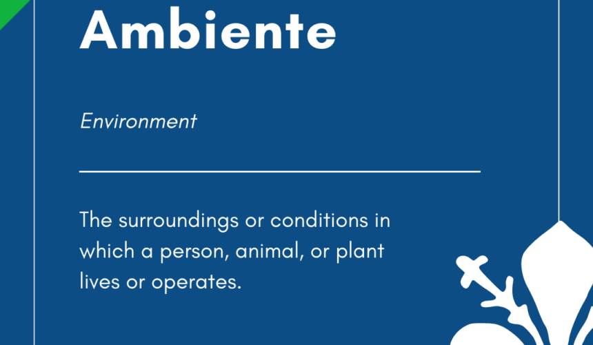 Italian Word of the Day! – Ambiente