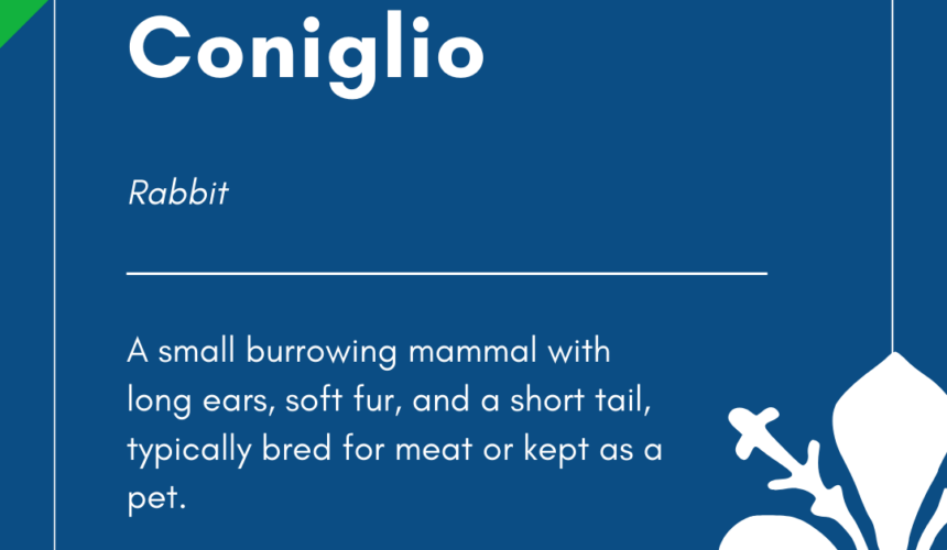 Italian Word of the Day! – Coniglio