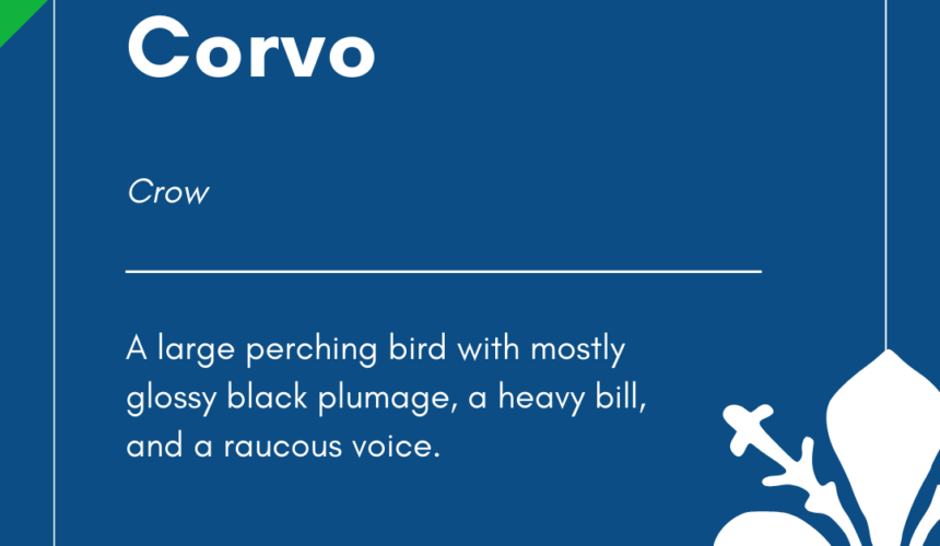 Italian Word of the Day! – Corvo