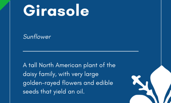 Italian Word of the Day! – Girasole