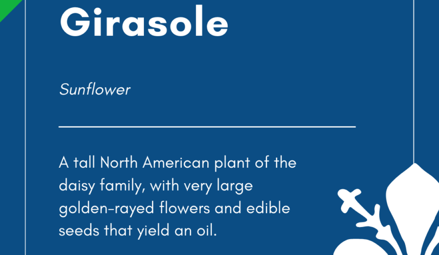 Italian Word of the Day! – Girasole