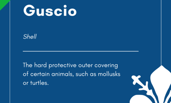 Italian Word of the Day! – Guscio