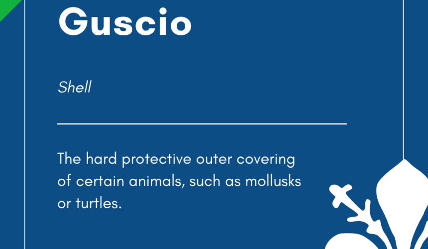 Italian Word of the Day! – Guscio